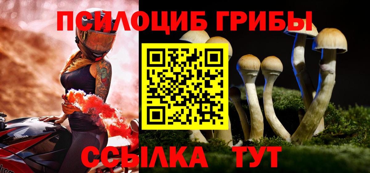 Псилоцибиновые грибы Psilocybe  Вход с VPN  Учалы 