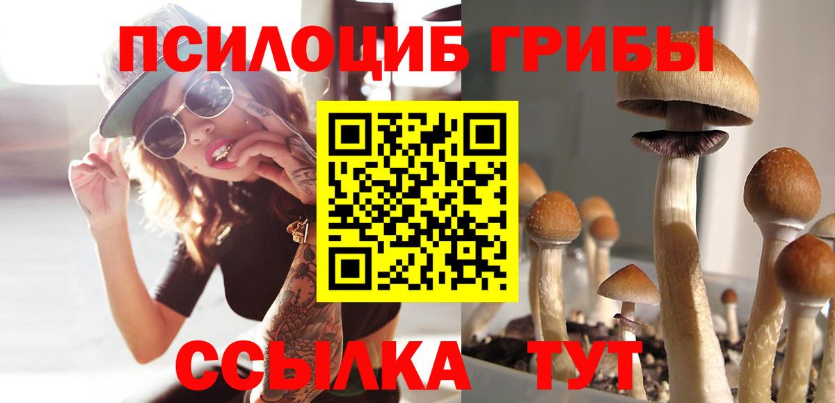 Псилоцибиновые грибы MAGIC MUSHROOMS Учалы